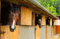 free Colehall stable construction quotes